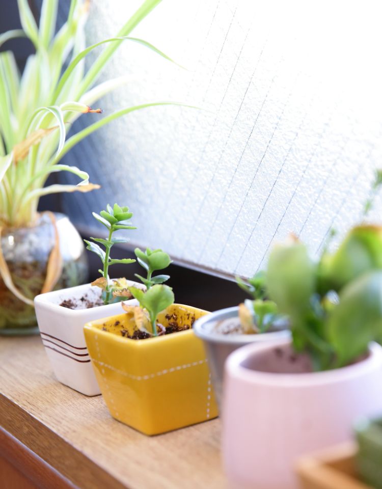 気兼ねなく立ち寄れる丘の上の診療所